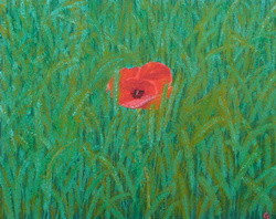 Painting: Just one Poppy